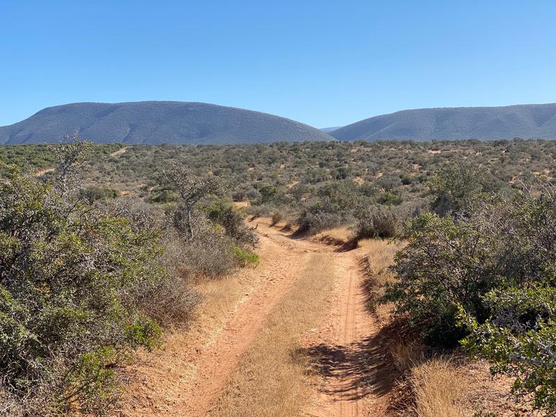 0 Bedroom Property for Sale in Kirkwood Eastern Cape